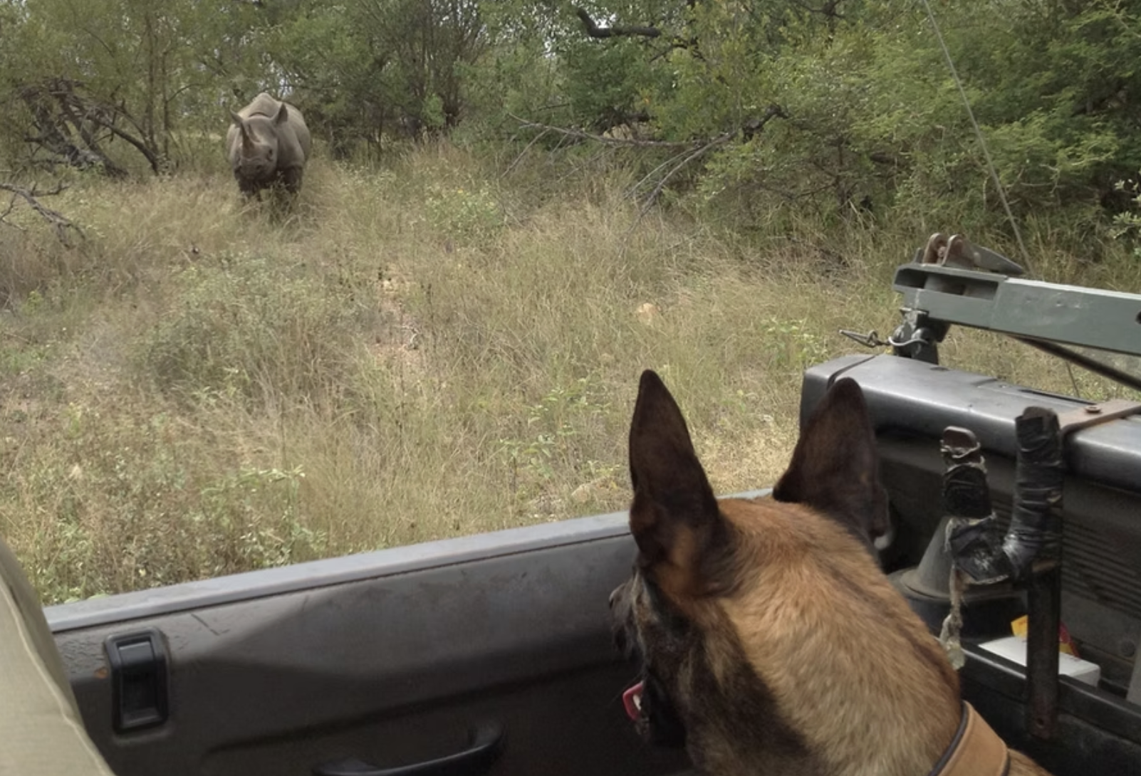 A safari vehicle looking out over the mountains of the African bush