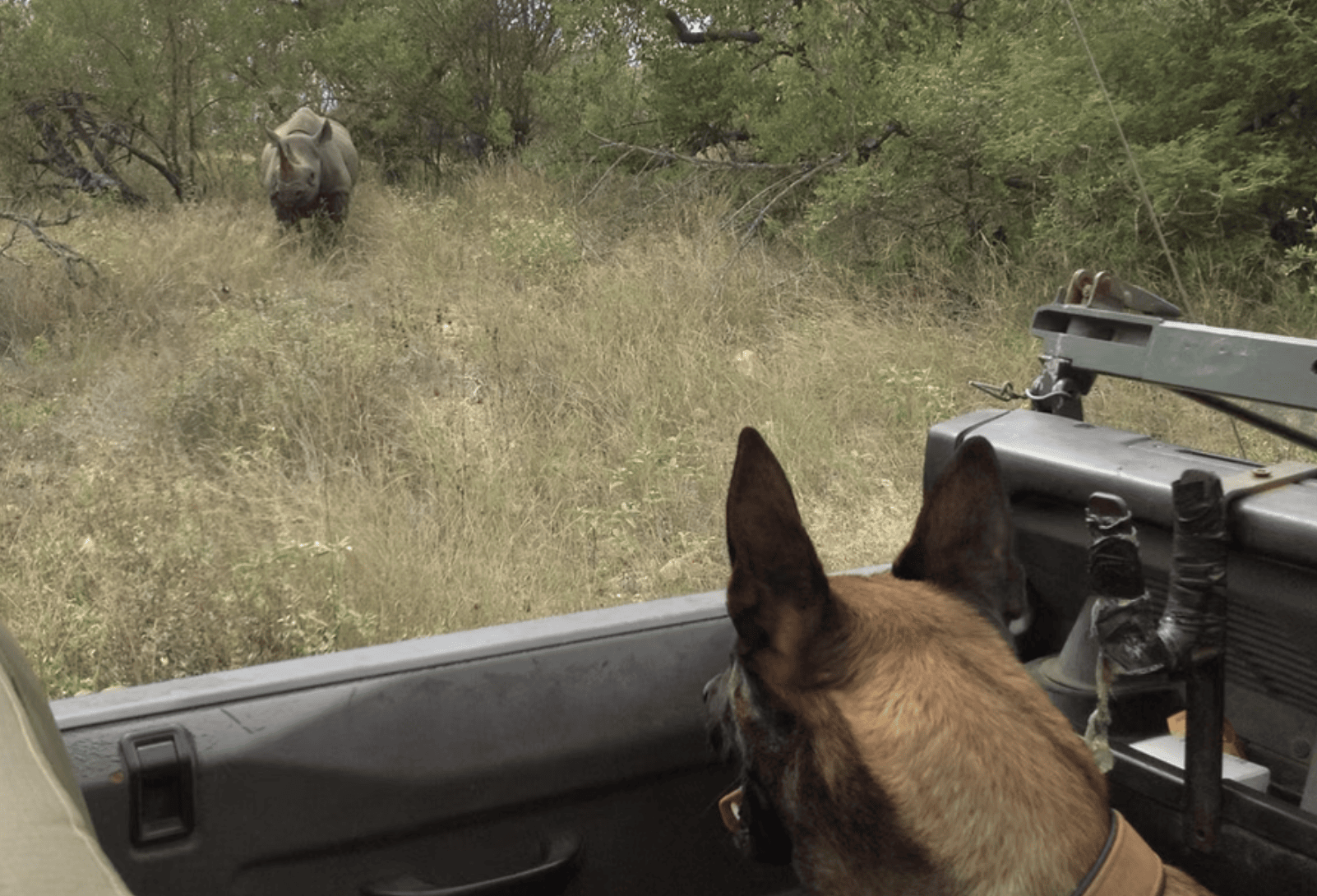 A safari vehicle looking out over the mountains of the African bush